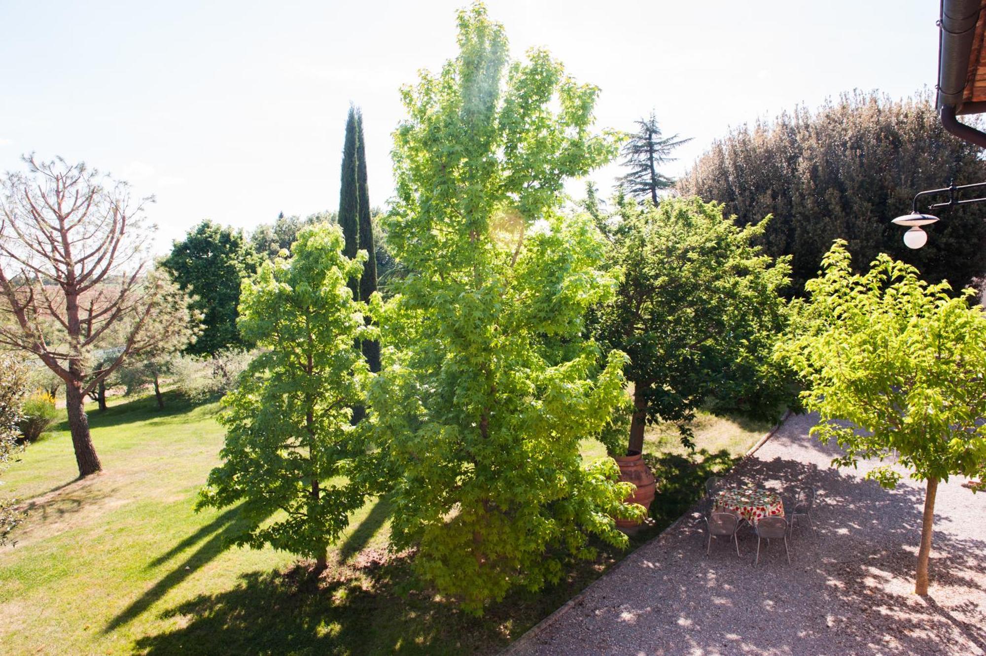 Agriturismo Villa La Morina Cortona Luaran gambar